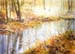 RIFF_015_ruisseau d'automne